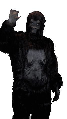 Frank Sticker by Online Monkeys