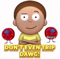 Rick And Morty Bepizman GIF