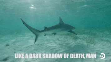 Discovery Channel Nakedandafraid GIF by Discovery