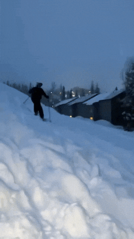 Ski Backflip GIF