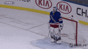 happy ice hockey GIF by NHL
