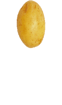 vaasan_leipomot explosion street food smash burger vaasan Sticker