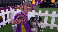 The Masters Obedience Championship At Westminster