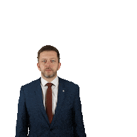 Stan Sticker by Starostové a nezávislí