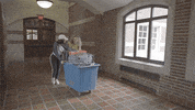 UofMichigan umich umsocial uofm movein GIF