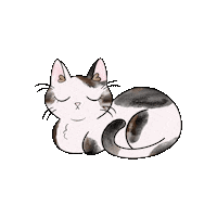 danabjorum cat kitty sleepy blink Sticker