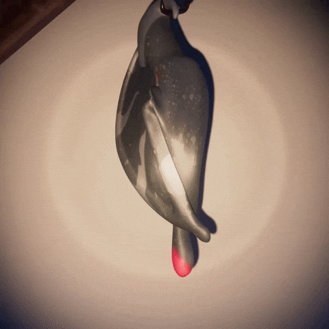 Wake Up What GIF by Claynosaurz