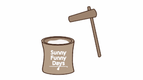サニファニ GIF by Sunny Funny Days