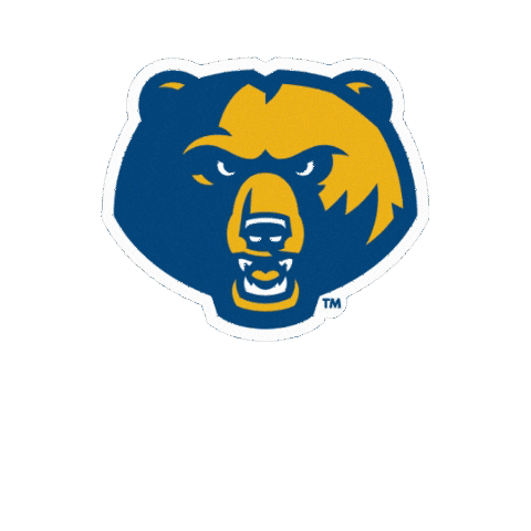 Game Day Sticker by WVU Tech Golden Bears