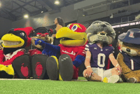 Iowa State Mascot GIF by Bearcat