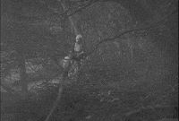 Monty Python Dance GIF by Sub Pop Records