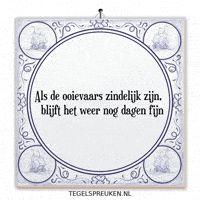 Humor Wijsheid GIF by Tegelspreuken.nl