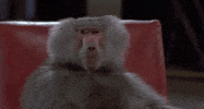 Looking Around Geena Davis GIF
