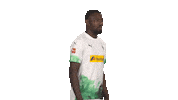 Posing Line Up Sticker by Bundesliga