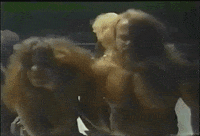 kevin sullivan wrestling GIF