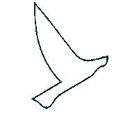 embarkbeyond embarkbeyond embarkimmersion Sticker