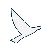 embarkbeyond embarkbeyond embarkimmersion embarkbeyondbrasil Sticker