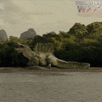 November 28 Dinosaur GIF by Signature Entertainment