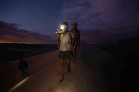 GIF by Gregory Packs