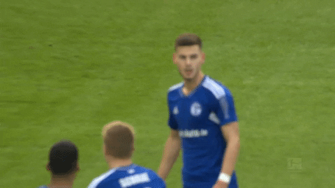 Football Soccer GIF by FC Schalke 04