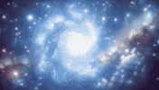 Miss Universe Jkn GIF