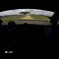Hyundai Driving GIF by FIA World Rally Championship