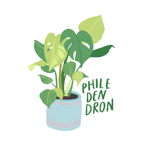 emilyycheungg giphyupload plant leaves tropical Sticker