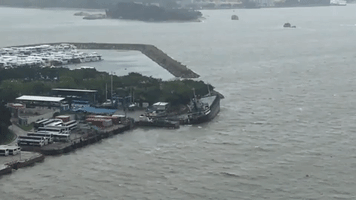 Cargo Ship Seeks Shelter From Typhoon Hato in Hong Kong's Discovery Bay