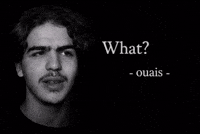 Owais What GIF