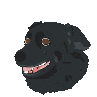 Dog Taiwan Sticker