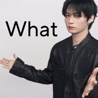 Stray Kids What GIF