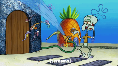season 10 episode 3 GIF by SpongeBob SquarePants