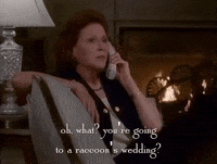 season 1 netflix GIF by Gilmore Girls 