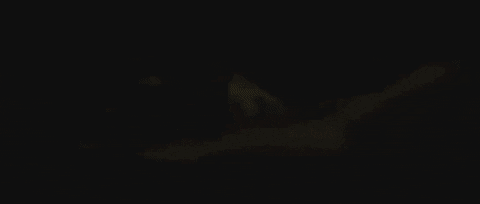 salimamalikfeerasta giphygifmaker GIF