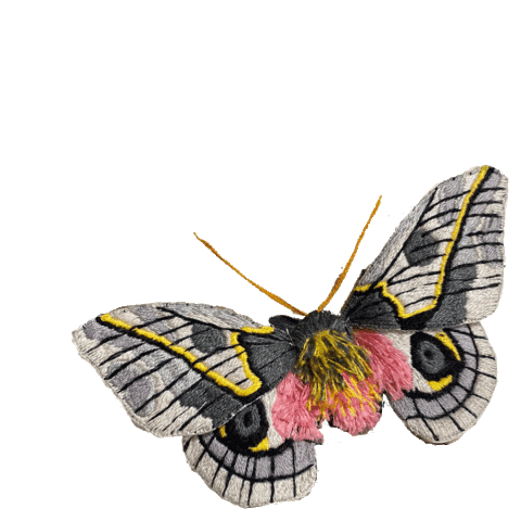 Embroidery Moth Sticker by bemmimosa