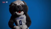 Drake Bulldogs GIF by Missouri Valley Conference