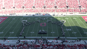 College Football GIF by tbdbitl