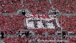 Ohio State Osu GIF by Ohio State Athletics
