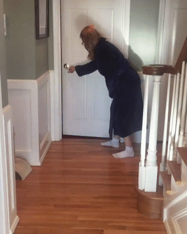 cat aww GIF by JustViral.Net