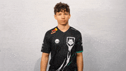Rainbow L GIF by G2 Esports