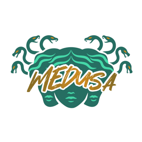 Medusa Sticker by F45 Training Taipei