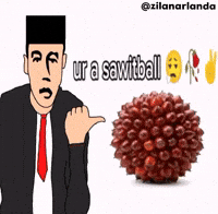 Prabowo Cornball GIF