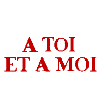 France Text Sticker by BVK Students Hannover