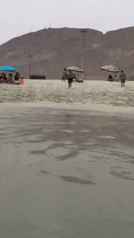 darob-giphy giphyupload GIF