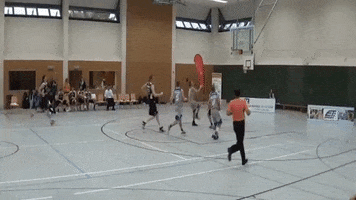 sgk-basketball basketball verein heidelberg kirchheim GIF
