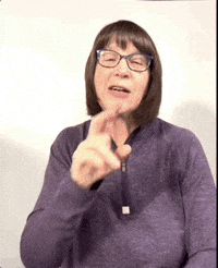 Travel Asl GIF