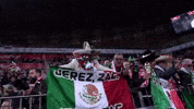 felicidad bandera GIF by MiSelecciónMX