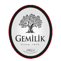 Bursa Sticker by Gemilik Lokum