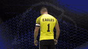 Captain Keeper GIF by Carson-Newman Athletics