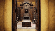 college door GIF by Harvard University